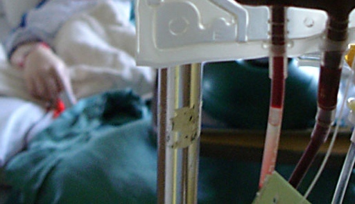 Detail from a photograph by Brian | CreativeCommons